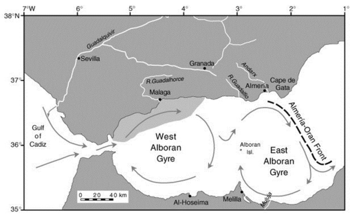 Alboran-gyre-with-the-anticyclonics-Western-Alboran-Gyre-and-the-Eastern-Alboran-Gyre.png