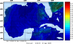 wstr_20250410_0600.gif