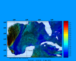 wstr_20250406_1200.gif