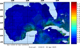 wstr_20250422_0000.gif