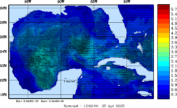 wstr_20250425_1200.gif