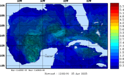 wstr_20250425_1200.gif