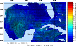 wstr_20250429_1200.gif