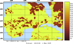 rad_20250504_1800.gif