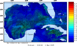 wstr_20250501_0600.gif