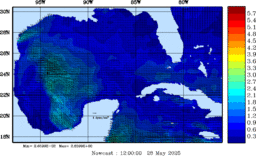 wstr_20250528_1200.gif