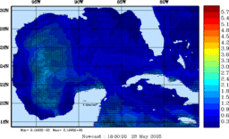 wstr_20250528_1800.gif