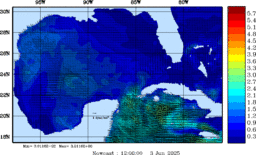 wstr_20250603_1200.gif