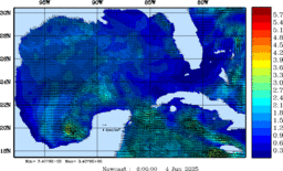 wstr_20250604_0600.gif