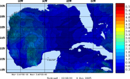 wstr_20250609_1200.gif