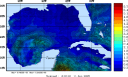wstr_20250611_0600.gif