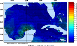 wstr_20250611_0000.gif