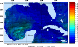 wstr_20250611_0600.gif