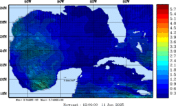 wstr_20250611_1200.gif