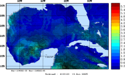 wstr_20250613_0600.gif