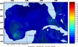 wstr_20250611_1200.gif