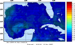 wstr_20250612_0600.gif