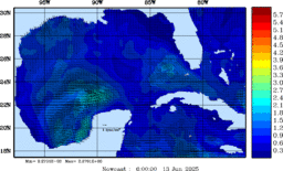 wstr_20250613_0600.gif