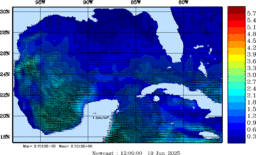 wstr_20250619_1200.gif