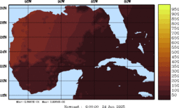 rad_20250624_0000.gif