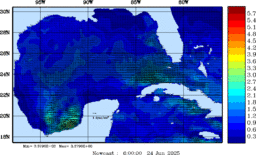 wstr_20250624_0600.gif