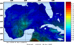 wstr_20250628_0600.gif