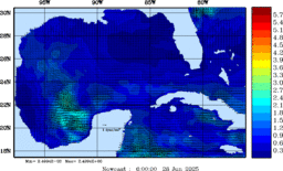 wstr_20250628_0600.gif