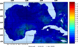 wstr_20250701_0600.gif