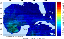 wstr_20250629_0000.gif