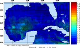 wstr_20250701_0600.gif