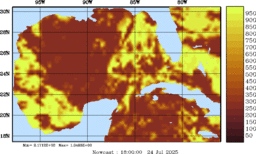 rad_20250724_1800.gif