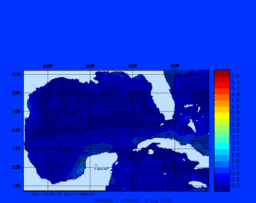 wstr_20250802_0000.gif