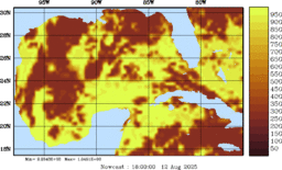 rad_20250812_1800.gif