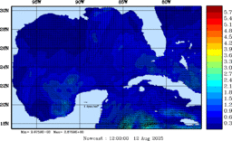 wstr_20250812_1200.gif
