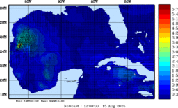 wstr_20250815_1200.gif