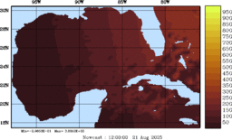 rad_20250821_1200.gif