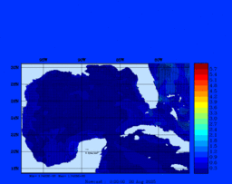wstr_20250820_0000.gif