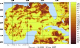 rad_20250823_1800.gif