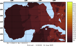 rad_20250824_1200.gif