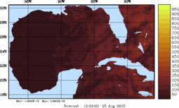 rad_20250825_1200.gif