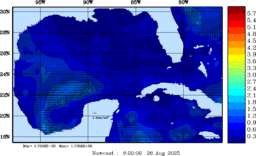 wstr_20250826_0600.gif