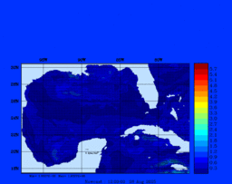 wstr_20250828_1200.gif
