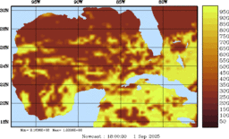 rad_20250901_1800.gif