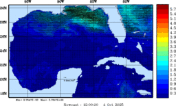 wstr_20251004_1200.gif
