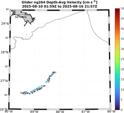 ng264_vel_20250810_20250817.png