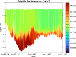 mote-holly-m2_section_4D.png