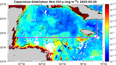 ssc_20250320T0000_caribbean.png