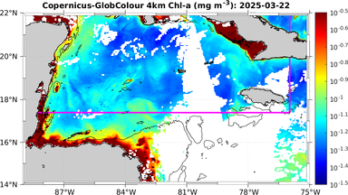 ssc_20250322T0000_caribbean.png