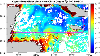 ssc_20250324T0000_caribbean.png