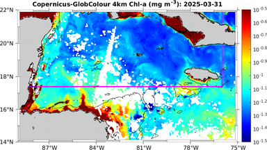 ssc_20250331T0000_caribbean.png